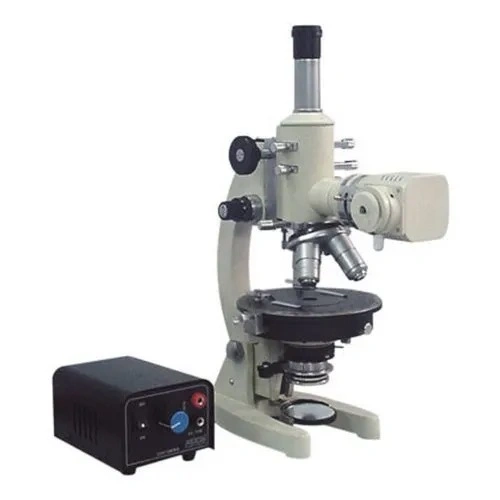 WhatsApp Image 2025-08-21 at 1.00.06 PM